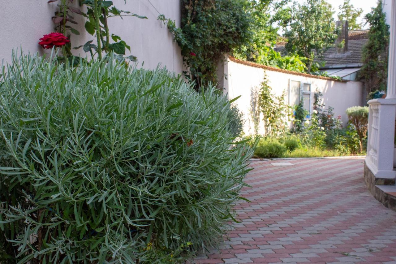 Yox Apartment 1 Oradea Exterior foto